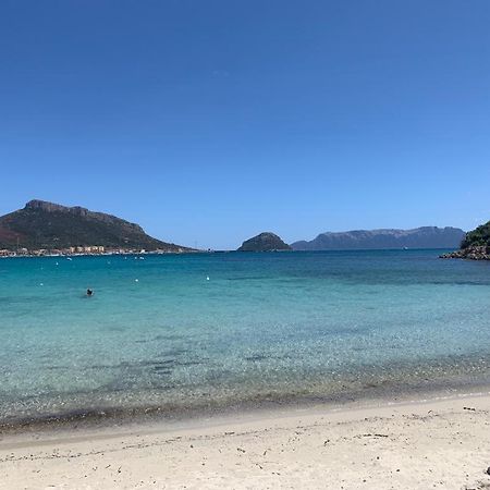 Appartamenti Le Primule Golfo Aranci Exteriör bild