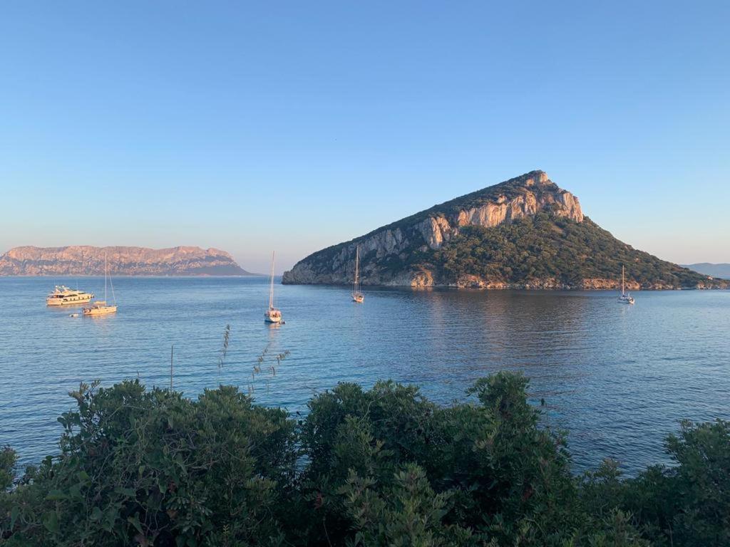 Appartamenti Le Primule Golfo Aranci Exteriör bild