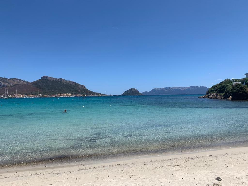 Appartamenti Le Primule Golfo Aranci Exteriör bild