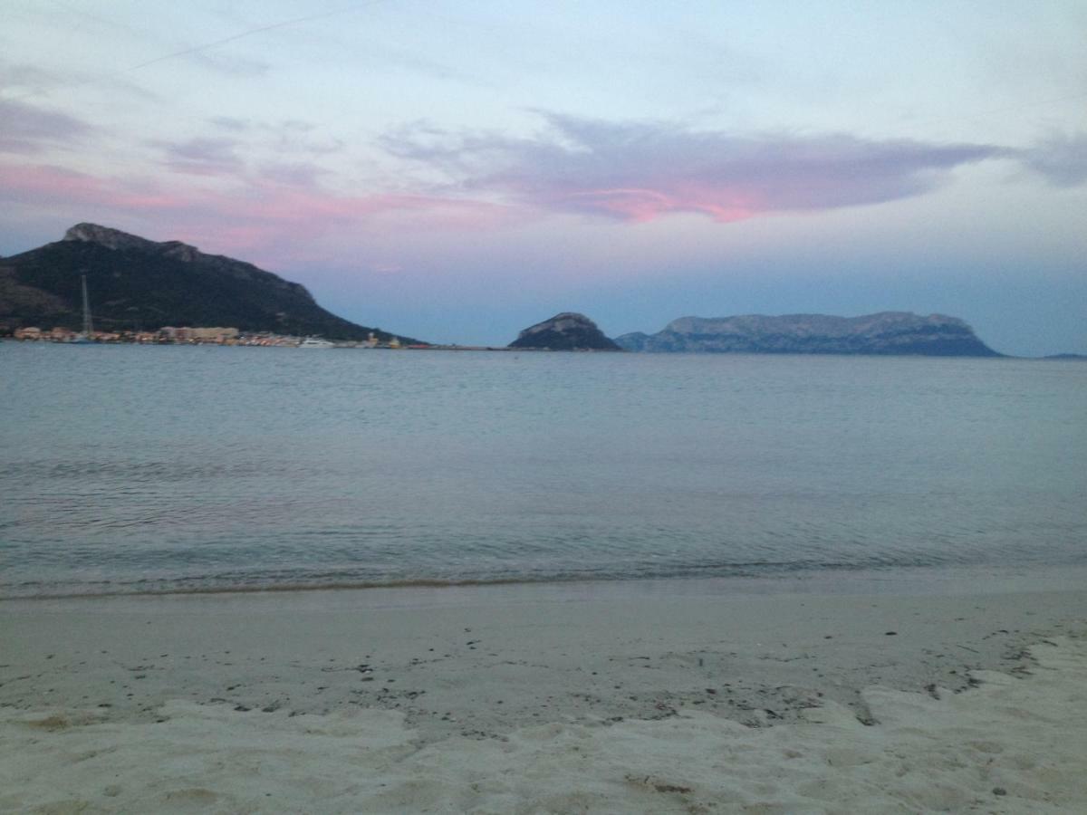 Appartamenti Le Primule Golfo Aranci Exteriör bild